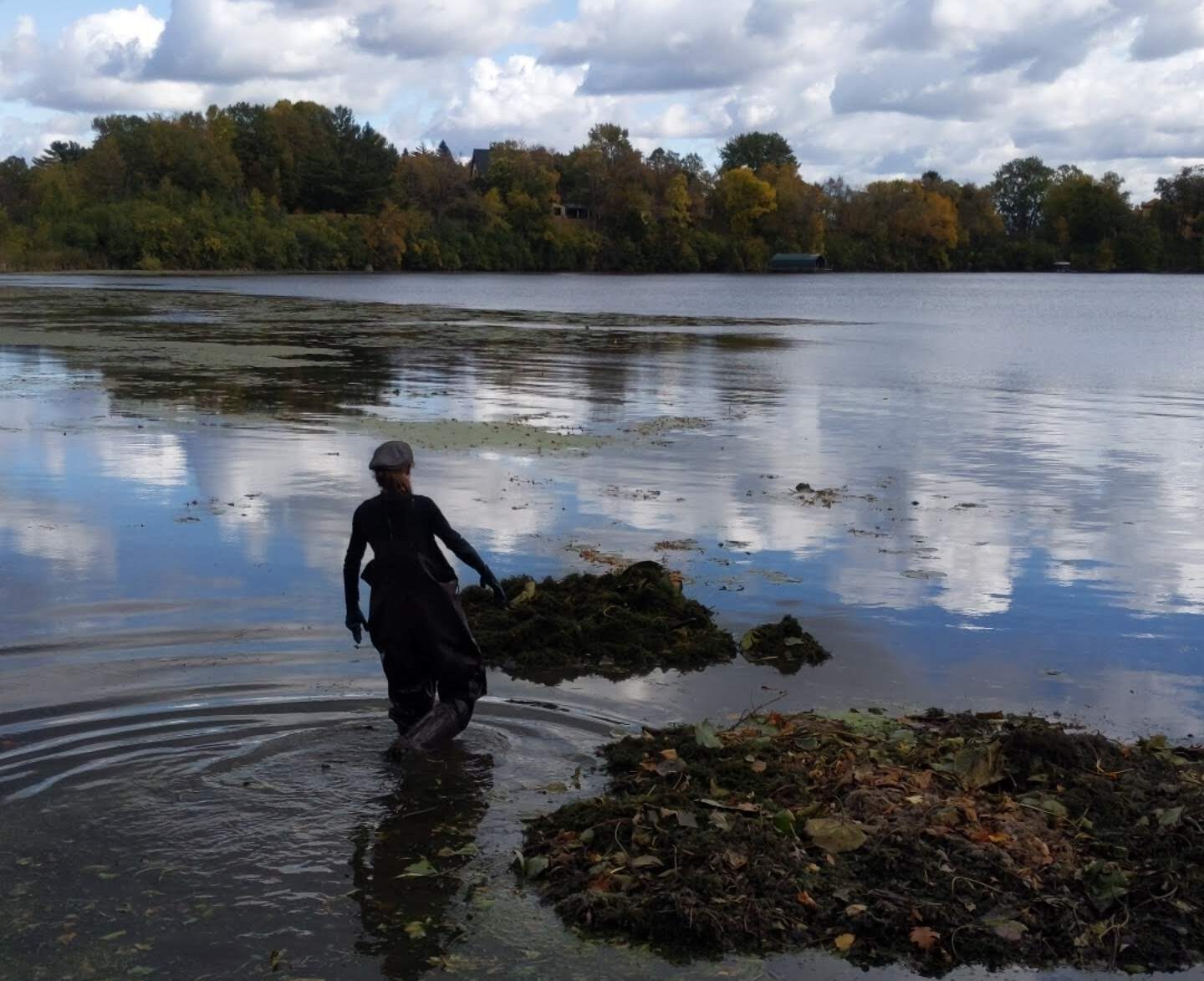 Before — Lake Minnetonka Dock Installation – Weed Removal