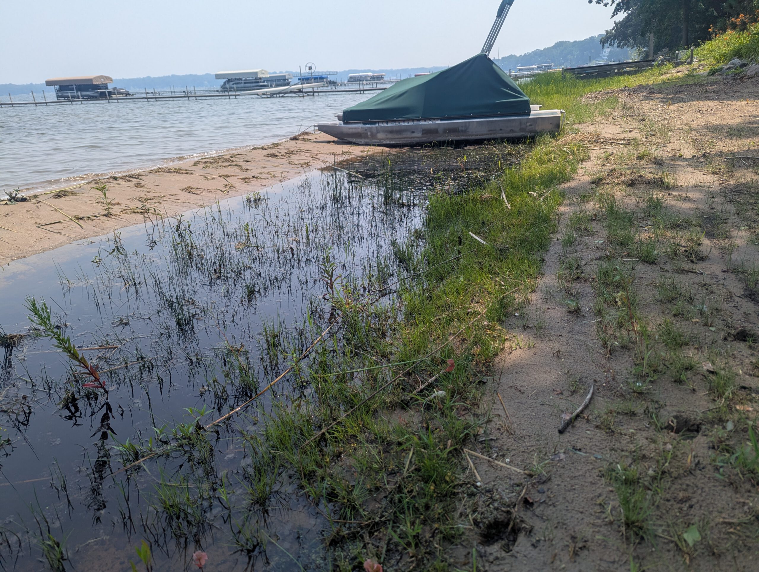 Before — White Bear Lake Shoreline Maintenance & Dock Install