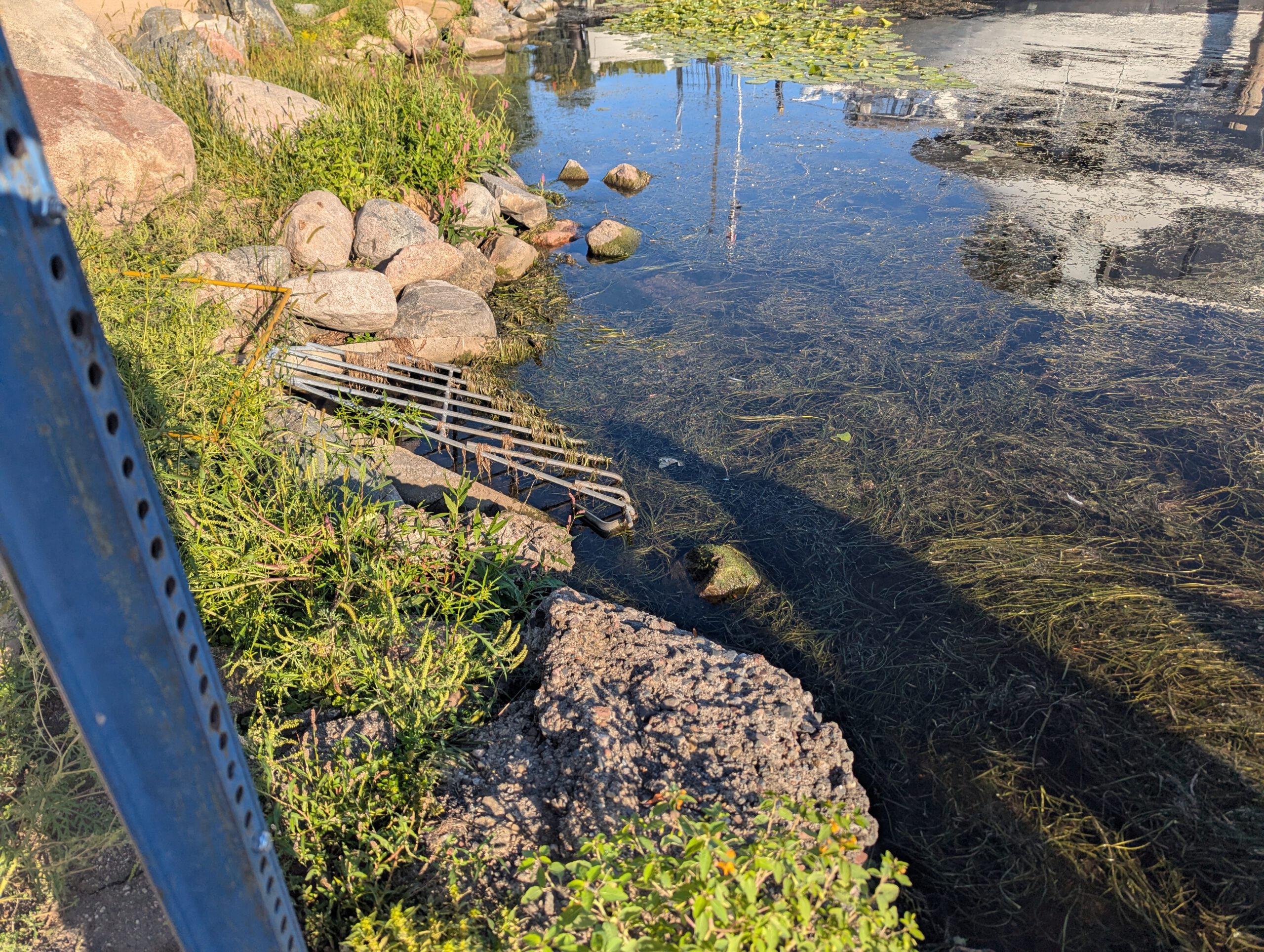 Before — Excelsior Beach Restoration & Lake Weed Removal