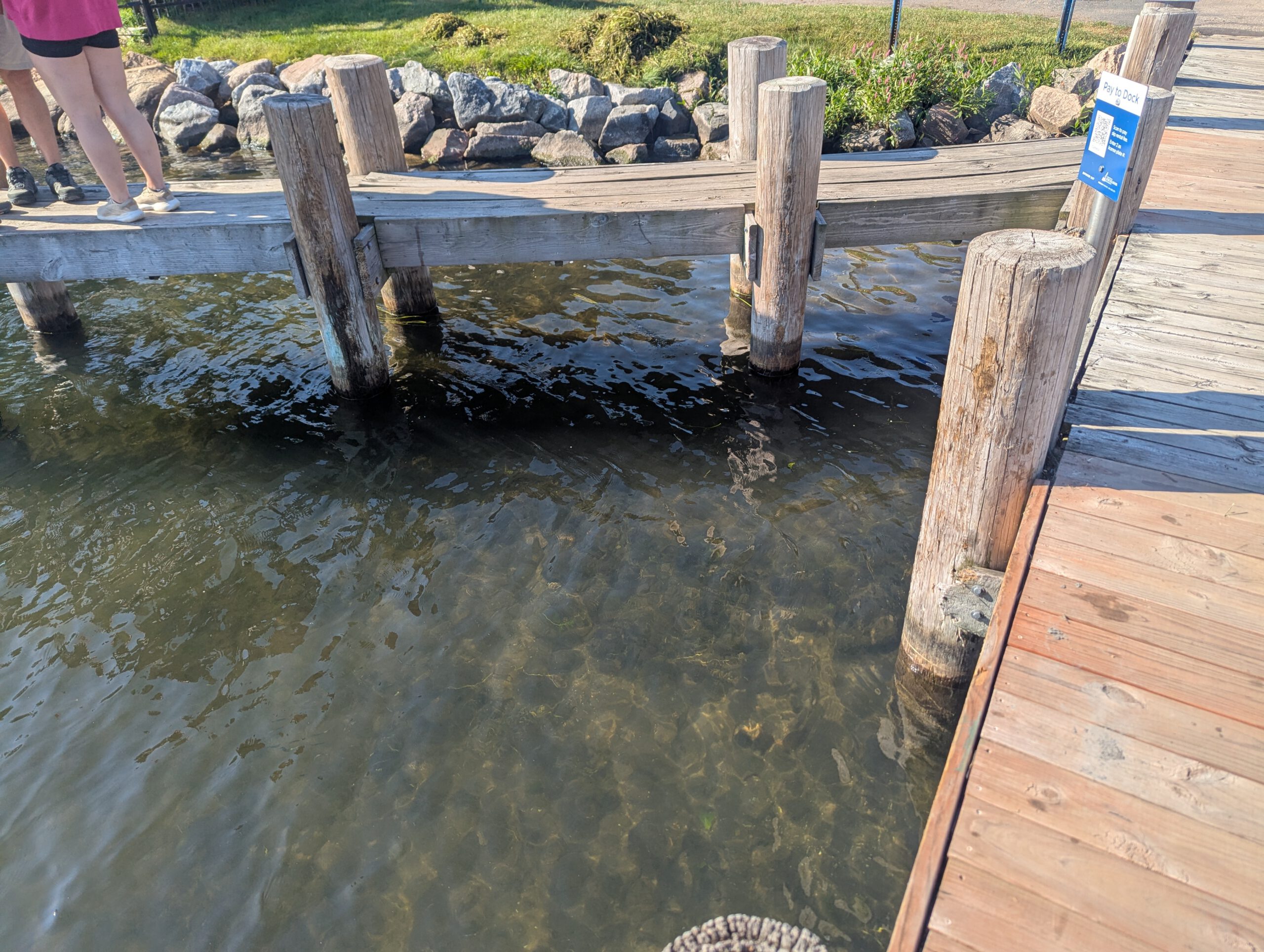 Before — Maynards – Lake Weed Removal & Shoreline Maintenance