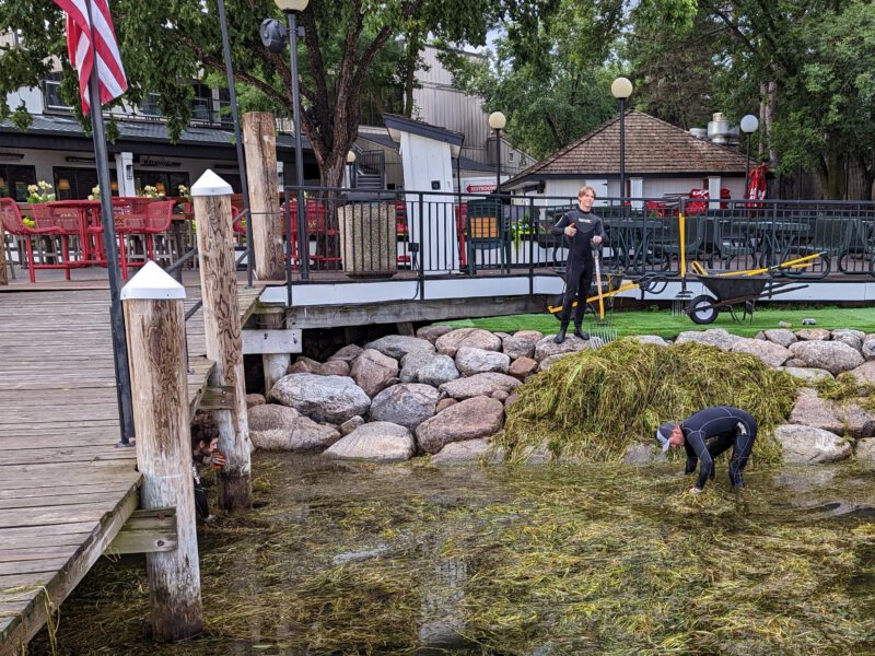 Maynards - Lake Weed Removal & Shoreline Maintenance