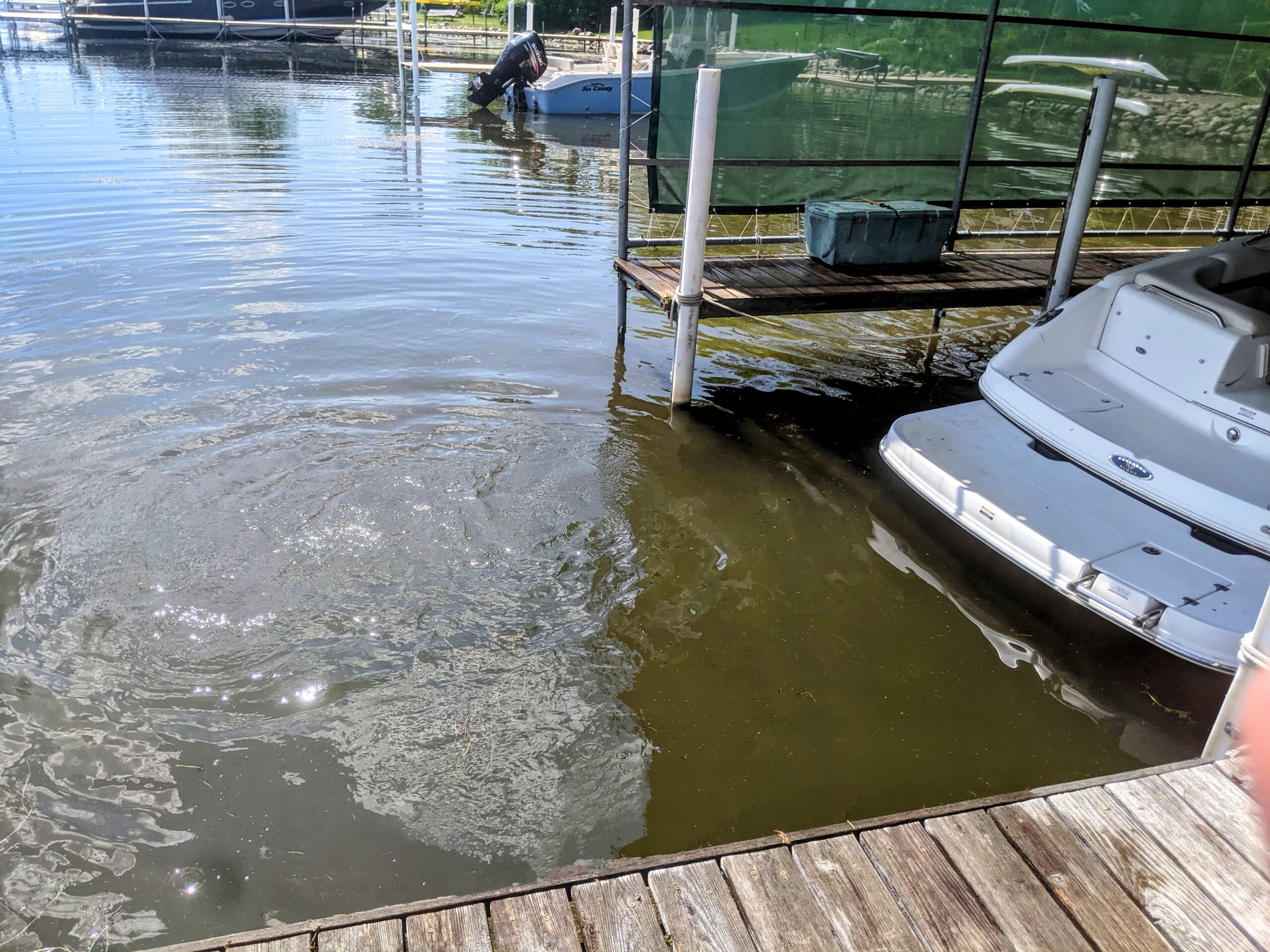 After — Lake Weed Removal – Lake Minnetonka
